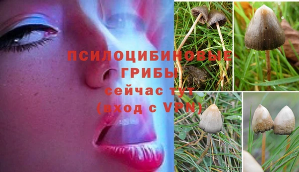 соль ск Баксан