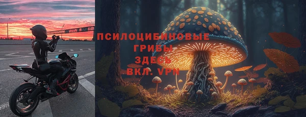 мдпв Балахна
