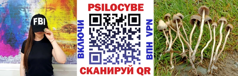 Галлюциногенные грибы MAGIC MUSHROOMS Чудово